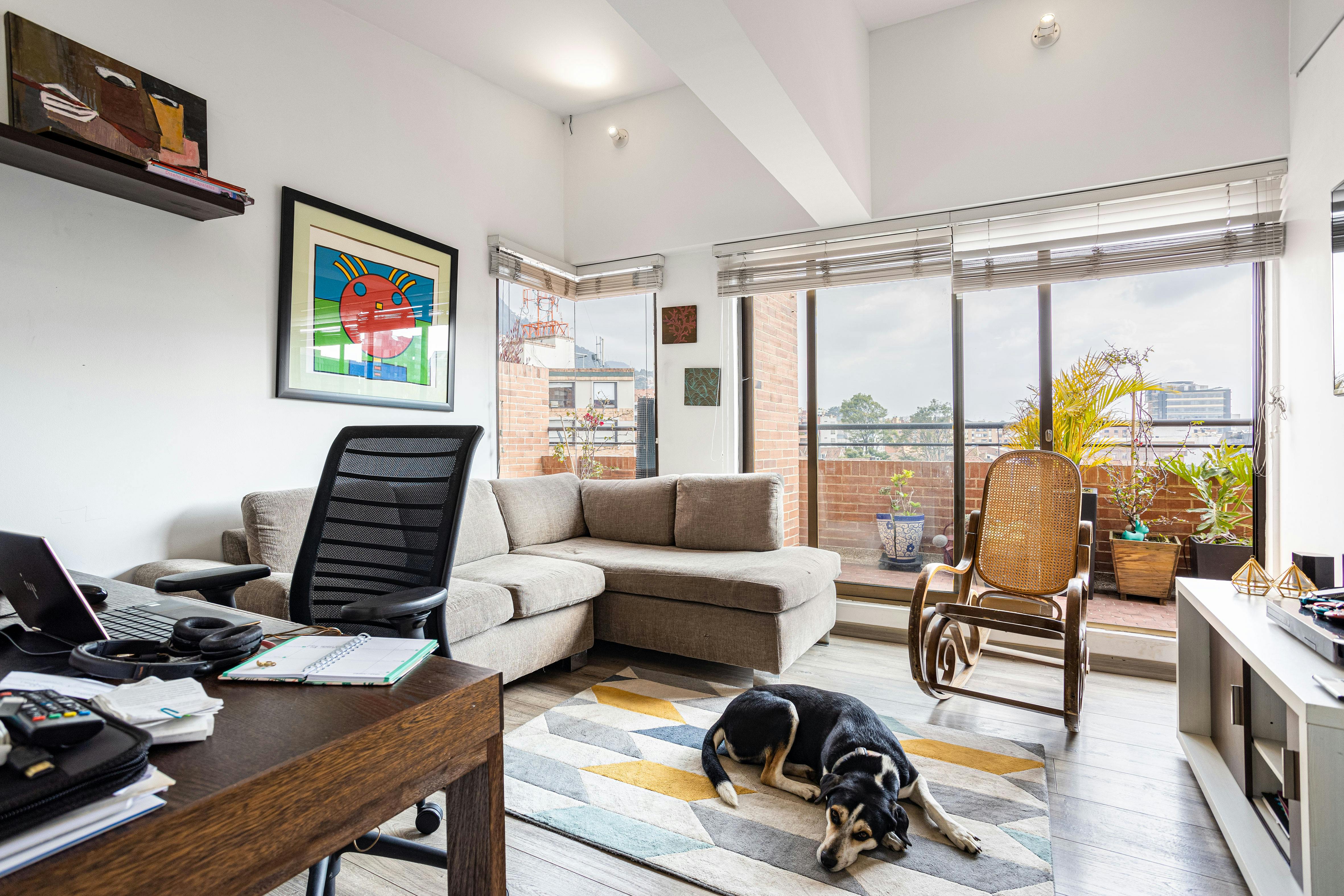 Thonglor Pet Suite